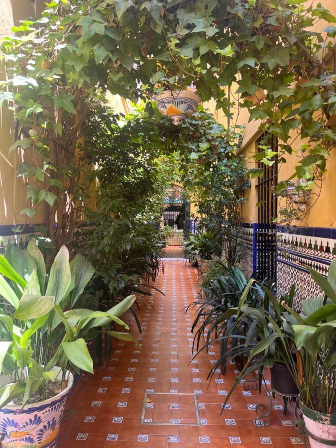 Hostal Atenas Севиля Екстериор снимка